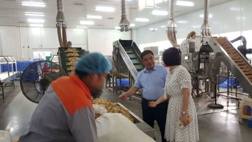 湘西國家農科園赴寧鄉國家農業科技園區考察學習，共謀農業高質量發展與信息技術咨詢服務創新